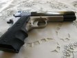 Pistole Colt Springfield US property